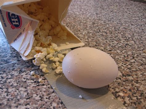 egg drop paper test|egg drop ideas that won't break.